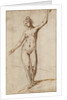 Female Nude by Karel van Mander