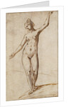 Female Nude by Karel van Mander