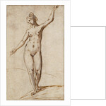 Female Nude by Karel van Mander