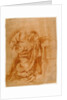 Study for the Kneeling Virgin by Tanzio da Varallo