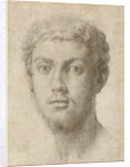Head of a Man by Agnolo Bronzino
