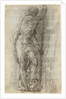 Neptune by Giulio Campi