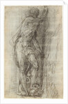 Neptune by Giulio Campi