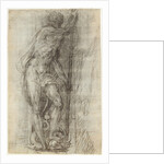 Neptune by Giulio Campi