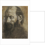 Saint Paul by Giovanni Girolamo Savoldo