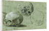 Study of Three Skulls (recto), Architectural Study (verso) by Anonymous
