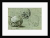 Study of Three Skulls (recto), Architectural Study (verso) by Anonymous