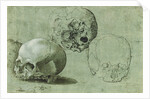 Study of Three Skulls (recto), Architectural Study (verso) by Anonymous