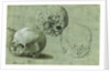 Study of Three Skulls (recto), Architectural Study (verso) by Anonymous