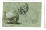 Study of Three Skulls (recto), Architectural Study (verso) by Anonymous