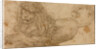Study of a Lion by Lucas Cranach the Elder
