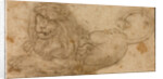 Study of a Lion by Lucas Cranach the Elder