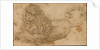 Study of a Lion by Lucas Cranach the Elder
