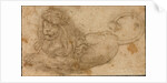 Study of a Lion by Lucas Cranach the Elder