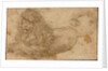 Study of a Lion by Lucas Cranach the Elder