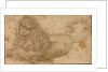 Study of a Lion by Lucas Cranach the Elder