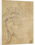 Study of Jealousy by Agnolo Bronzino