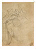 Study of Jealousy by Agnolo Bronzino