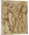 Nude Studies by Bartolomeo Passarotti