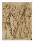 Nude Studies by Bartolomeo Passarotti