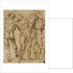 Nude Studies by Bartolomeo Passarotti