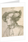 Portrait of a Young Man by Anonymous