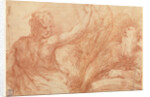 Studies of Saints John the Baptist and Jerome, a Crucifix, and Various Heads (recto), Studies of the Christ Child, a Crucifix, and a Dog (verso) by Parmigianino