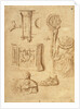 Studies of Antiquities (recto), Studies of Antiquities (verso); Nicolas Poussin by Anonymous