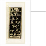The Queen's Matrimonial Ladder, a national toy by the author of The Political House that Jack built by George Cruikshank