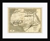 A Geographical and Commercial View of Northern Central Africa by Anonymous