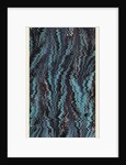 marbled paper, 19th century by Anonymous