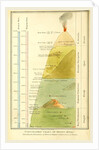 Chart of mount Etna, Sicily, Italy by Anonymous