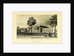 Conservatory at Wiesbaden, Germany, Tombleson's Views of the Rhine. by Anonymous