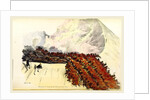 Sketches of Vesuvius, Italy by Anonymous