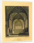 The Picturesque Beauties of Devonshire, Exeter Cathedral by Anonymous