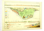The Geological relations of the beds between the chalk and the Purbeck Limestone in the South-East of England, 1824, part of the Isle of Wight by Anonymous