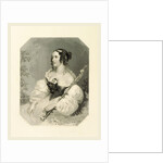 The Shakespeare Gallery, containing the principal female characters in the plays of the great poet by Anonymous