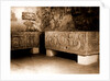 Campania Caserta Capua Museo Campano by Anonymous