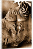 Campania Caserta Capua Museo Campano by Anonymous