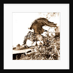 Campania Caserta Carditello Plazzo Reale by Anonymous