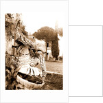 Campania Caserta Carditello Plazzo Reale by Anonymous