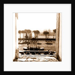 Campania Caserta Carditello Plazzo Reale by Anonymous