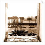 Campania Caserta Carditello Plazzo Reale by Anonymous