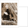 Madonna delle Grazie, Alanno, Abruzzo by Anonymous