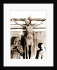 Madonna delle Grazie, Alanno, Abruzzo by Anonymous