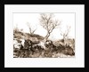 General views, Alba Fucens, Abruzzo by Anonymous