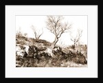 General views, Alba Fucens, Abruzzo by Anonymous