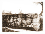General views, Alba Fucens, Abruzzo by Anonymous