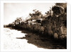 General views, Alba Fucens, Abruzzo by Anonymous