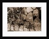 General views, Alba Fucens, Abruzzo by Anonymous